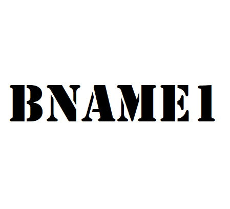 BNAME1